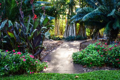 Marie selby botanical gardens - The Marie Selby Botanical Gardens have two campuses—one that highlights rainforest, desert, native Florida, and display gardens that meander along a mangrove by the …